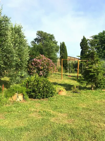 Rustico/Casale in vendita a Rosignano Mari... - foto 7