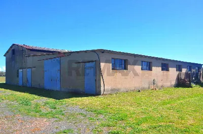 Rustico/Casale in vendita a Rosignano Mari... - foto 9