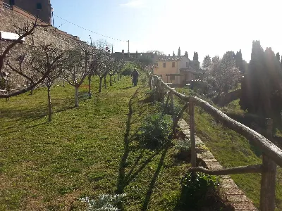 Casa Indipendente in vendita a Monteverdi ... - foto 6