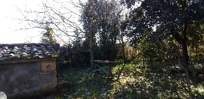 Rustico/Casale in vendita a Pomarance - foto 9
