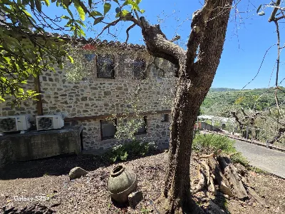 Rustico/Casale in vendita a Castel del Pia... - foto 4