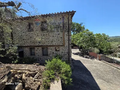 Rustico/Casale in vendita a Castel del Pia... - foto 5