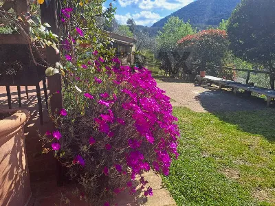 Rustico/Casale in vendita a Castagneto Car... - foto 7