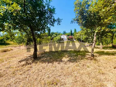 Villa in vendita a Rosignano Marittimo - foto 5