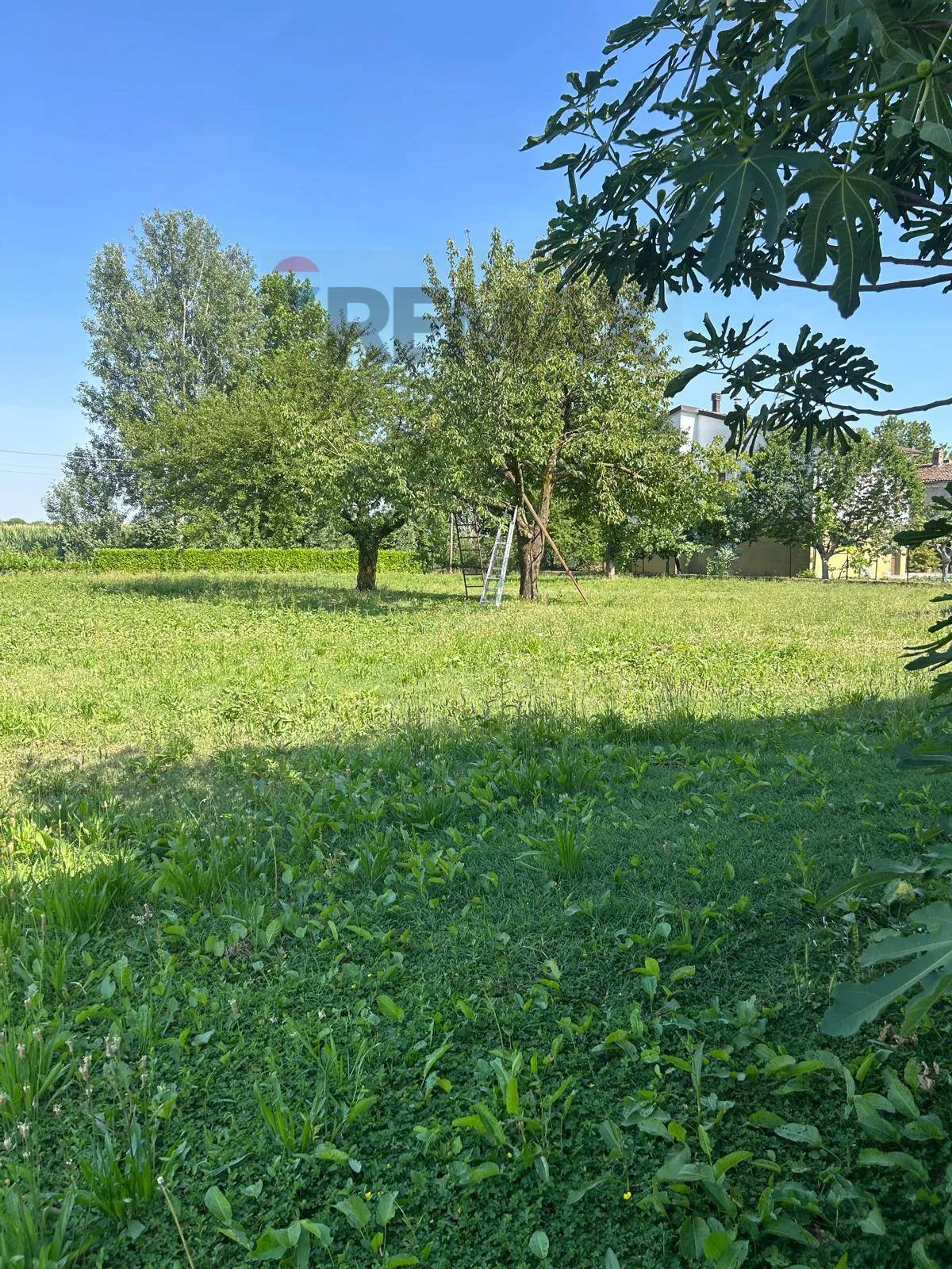 Rustico/Casale in vendita ad Asola - foto 3