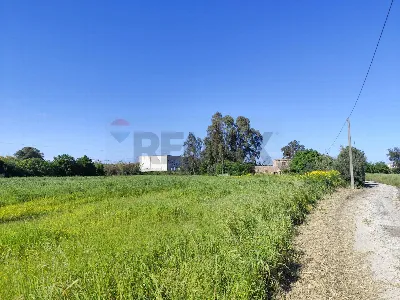 Rustico/Casale in vendita a Siracusa, Pant... - foto 3