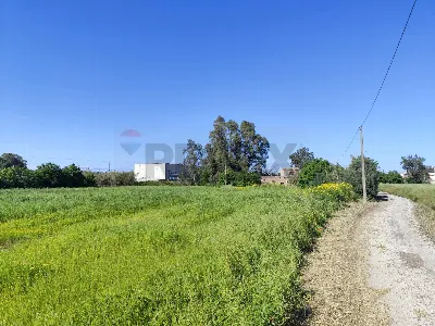 Rustico/Casale in vendita a Siracusa, Pant... - foto 5