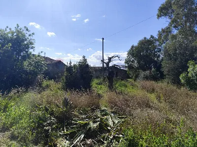 Rustico/Casale in vendita a Siracusa, Pant... - foto 6