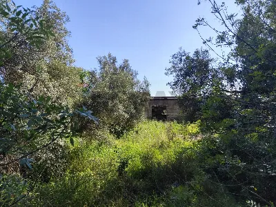 Rustico/Casale in vendita a Siracusa, Pant... - foto 7