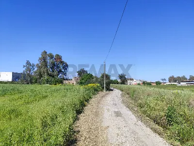 Rustico/Casale in vendita a Siracusa, Pant... - foto 9