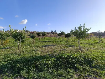Villa in vendita a Pachino - foto 9
