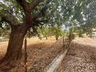 Villa in vendita a Priolo Gargallo - foto 9