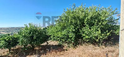Rustico/Casale in vendita a Noto - foto 3
