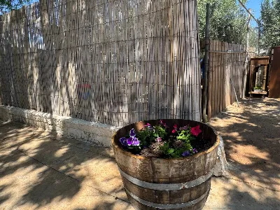 Villa in vendita a Portopalo di Capo Passe... - foto 3