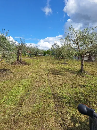 Villa in vendita a Castel Campagnano - foto 1