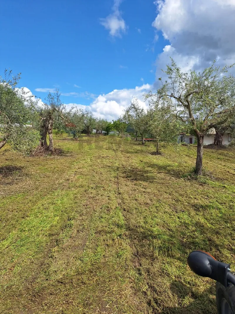 Villa in vendita a Castel Campagnano - foto 1
