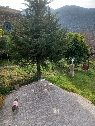 Casa Indipendente in vendita a Faicchio - foto 4