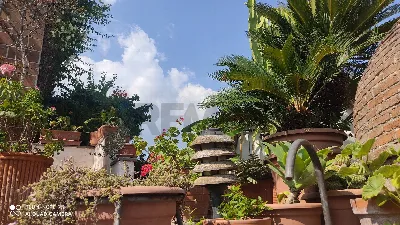 Villa in vendita a Caserta, Caserta nord - foto 4