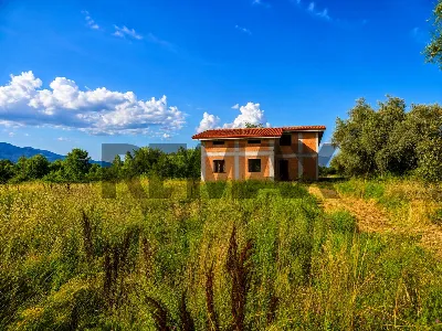 Rustico/Casale in vendita a Marzano Appio - foto 2