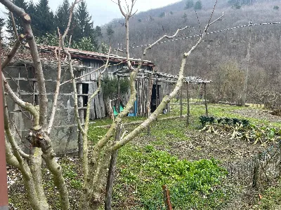 Casa Indipendente in vendita a Bormida - foto 8