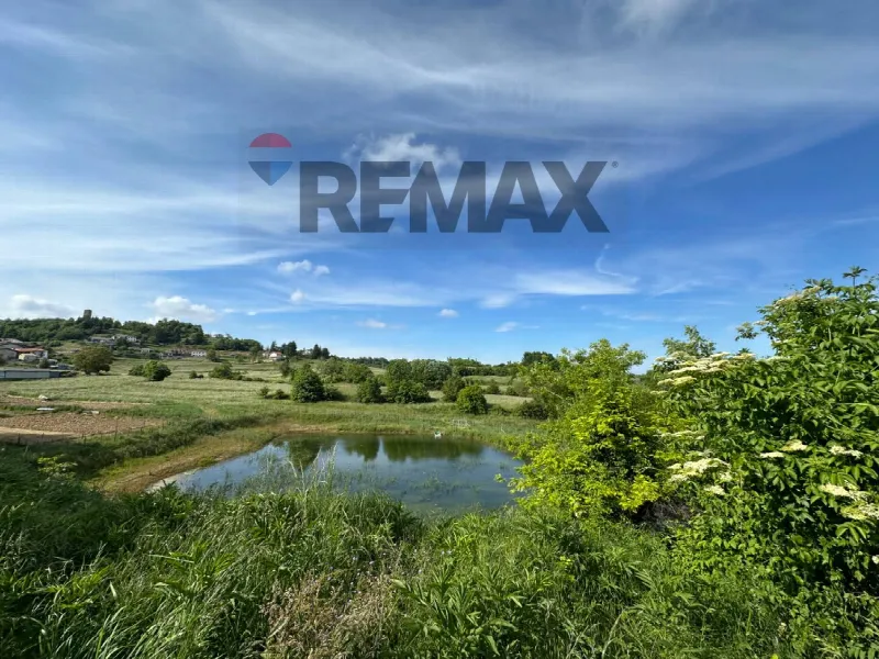Rustico/Casale in vendita a Ceva - foto 3