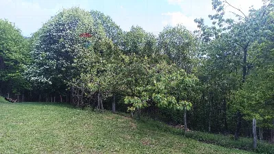 Rustico/Casale in vendita a Bormida - foto 10
