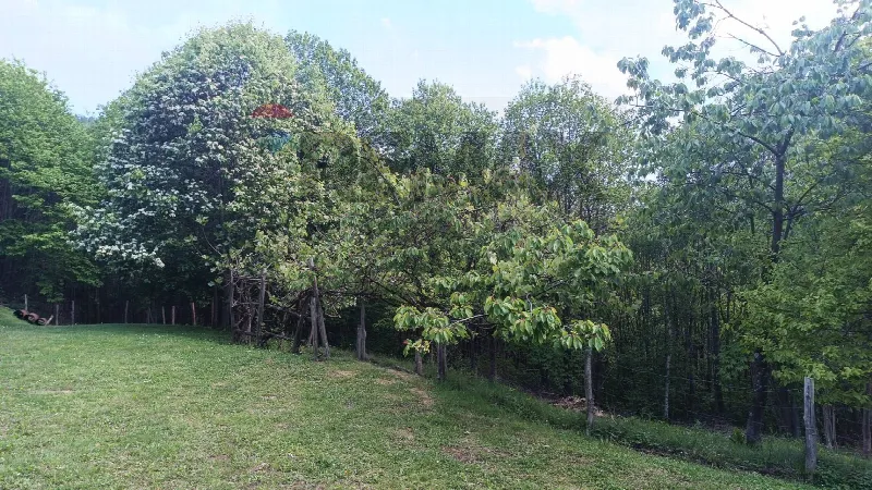 Rustico/Casale in vendita a Bormida - foto 10