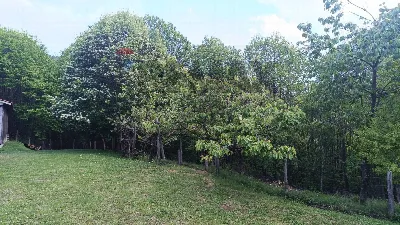 Rustico/Casale in vendita a Bormida - foto 9