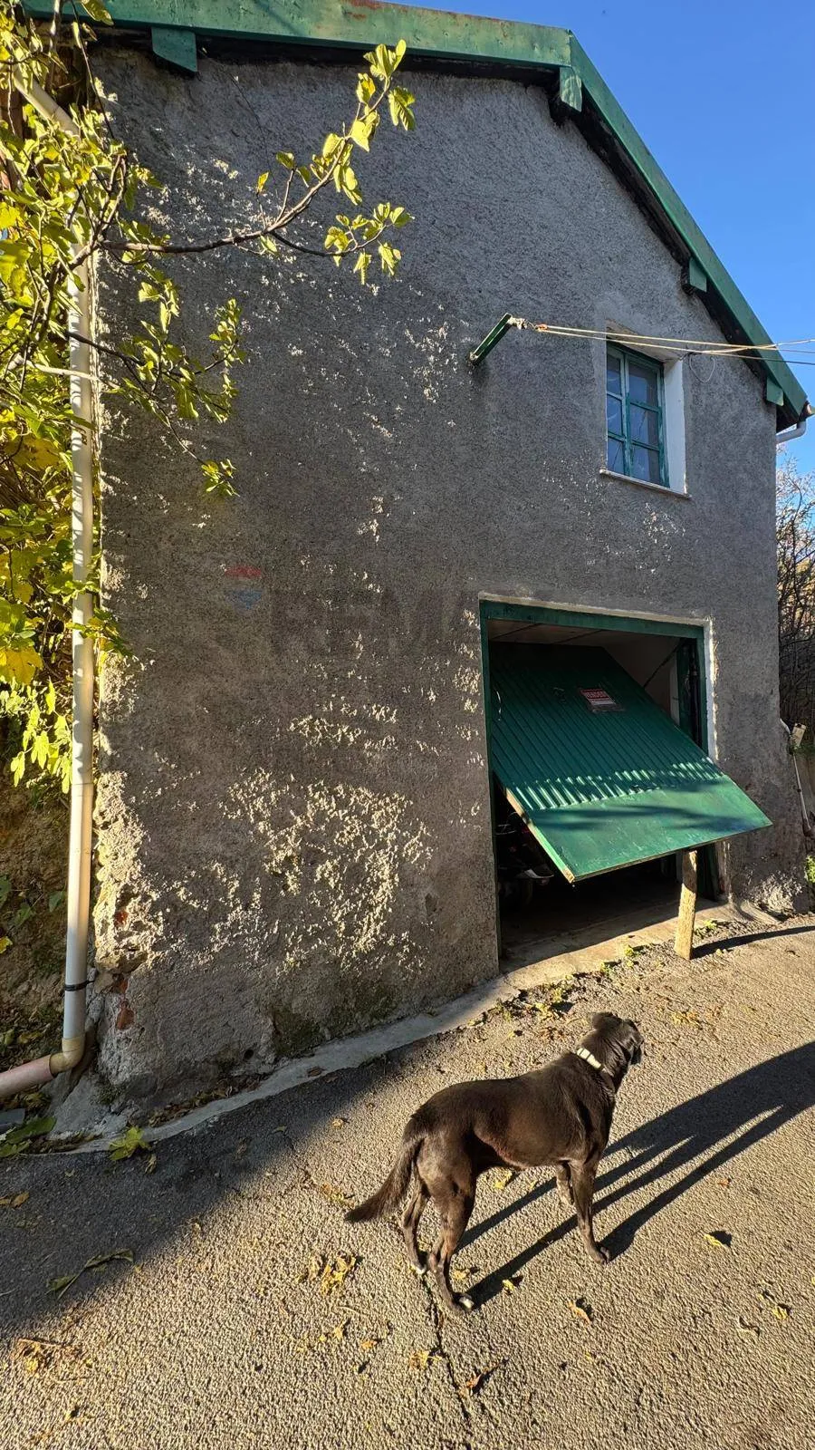 Rustico/Casale in vendita a Carcare - foto 5