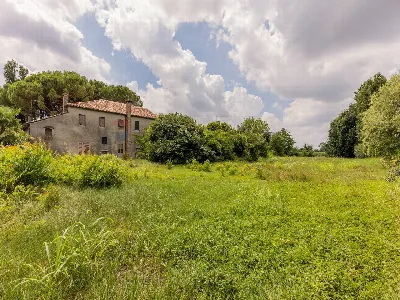 Rustico/Casale in vendita a Fossò - foto 5