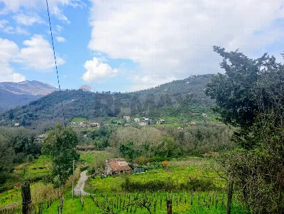 Rustico/Casale in vendita a Felitto - foto 10