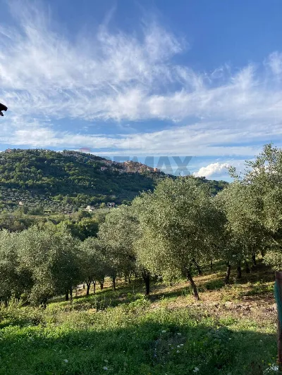 Rustico/Casale in vendita a Felitto - foto 8