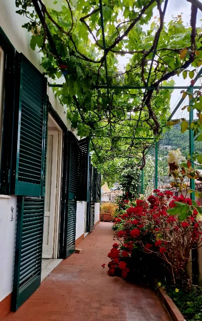 Villa in vendita a Capri - foto 4