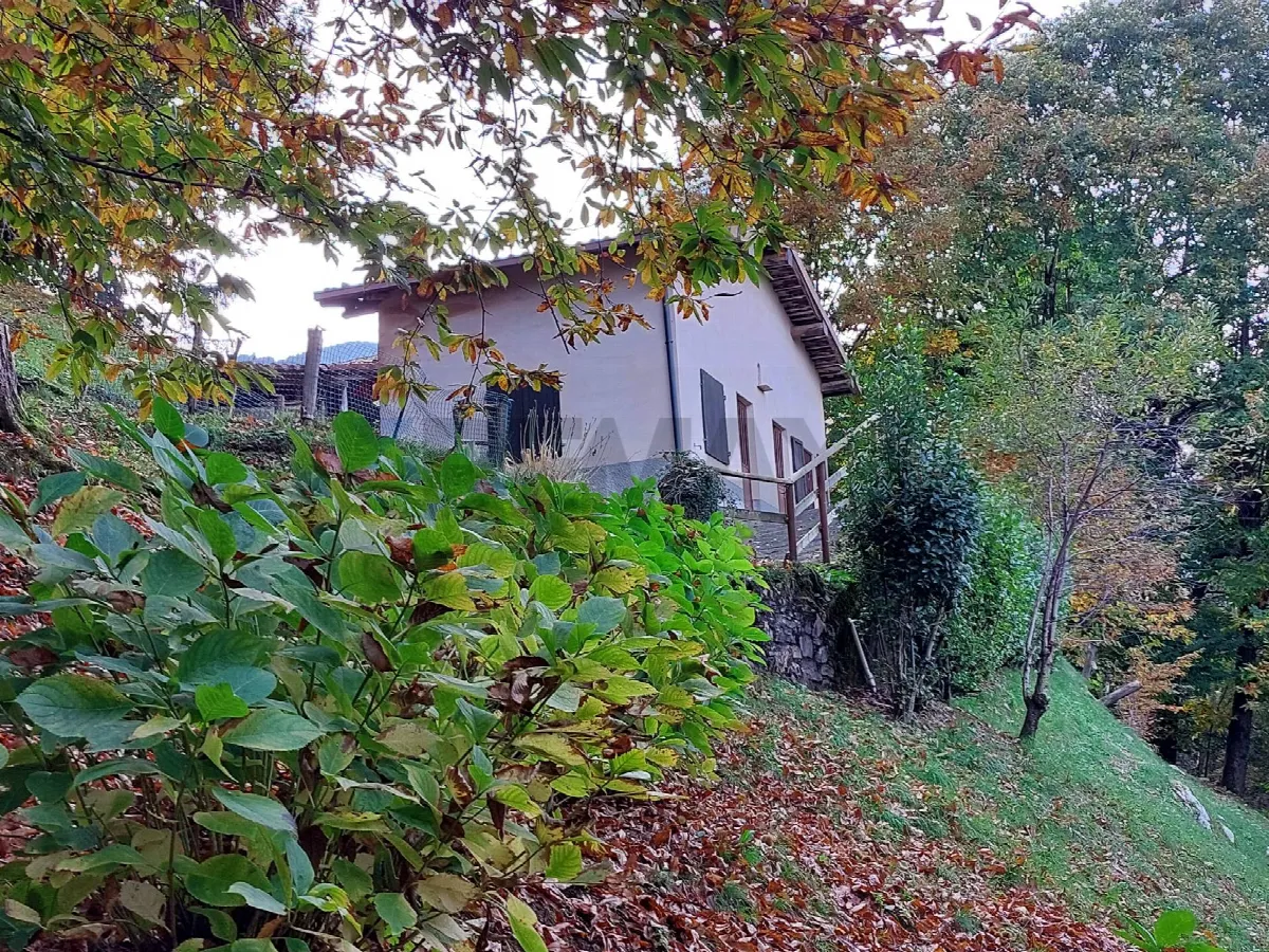 Rustico/Casale in vendita a Endine Gaiano - foto 2