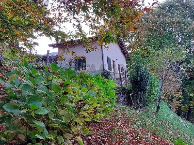 Rustico/Casale in vendita a Endine Gaiano - foto 2