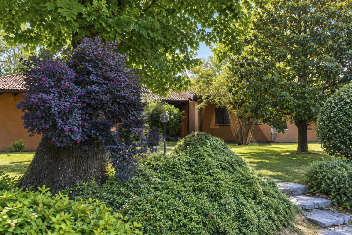 Palazzo/Stabile in vendita a Barzana - foto 2