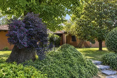 Palazzo/Stabile in vendita a Barzana - foto 2