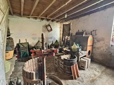 Rustico/Casale in vendita a Grumolo delle ... - foto 3