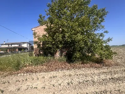 Rustico/Casale in vendita a Calto - foto 5