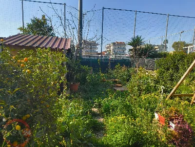 Villa in vendita a Latina, Borgo piave, bo... - foto 5