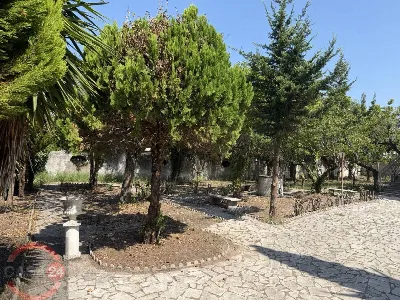 Villa in vendita a Terracina - foto 2