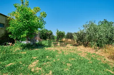 Casa Indipendente in vendita ad Ari - foto 9