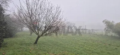 Villa in vendita a Ferrara, Boara, francol... - foto 4