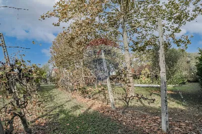 Villa in vendita a Ostellato - foto 10