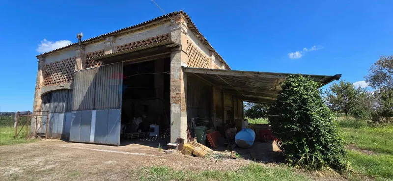 Rustico/Casale in vendita a Ferrara, Boara, Francolino, Correggio - foto 1