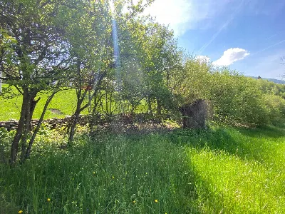 Rustico/Casale in vendita a Belluno - foto 6