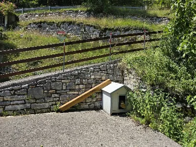 Casa Indipendente in vendita a Lamon - foto 5