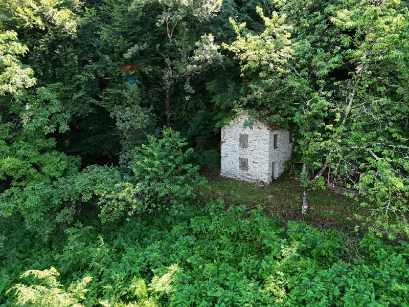 Rustico/Casale in vendita a Sovramonte - foto 3