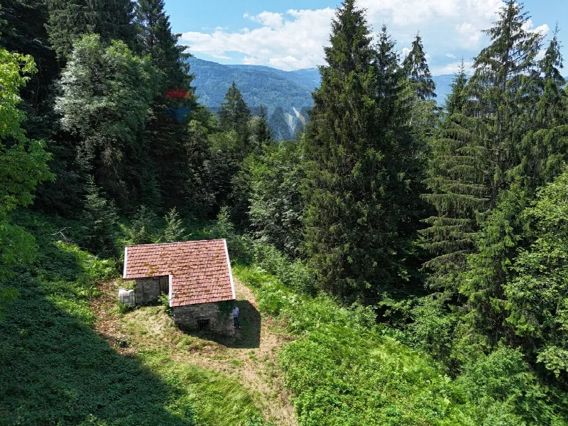 Rustico/Casale in vendita a Sovramonte - foto 10