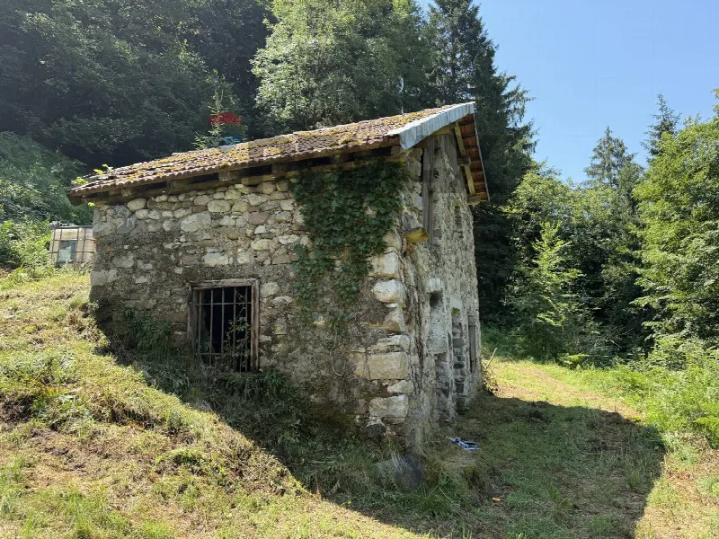Rustico/Casale in vendita a Sovramonte - foto 5